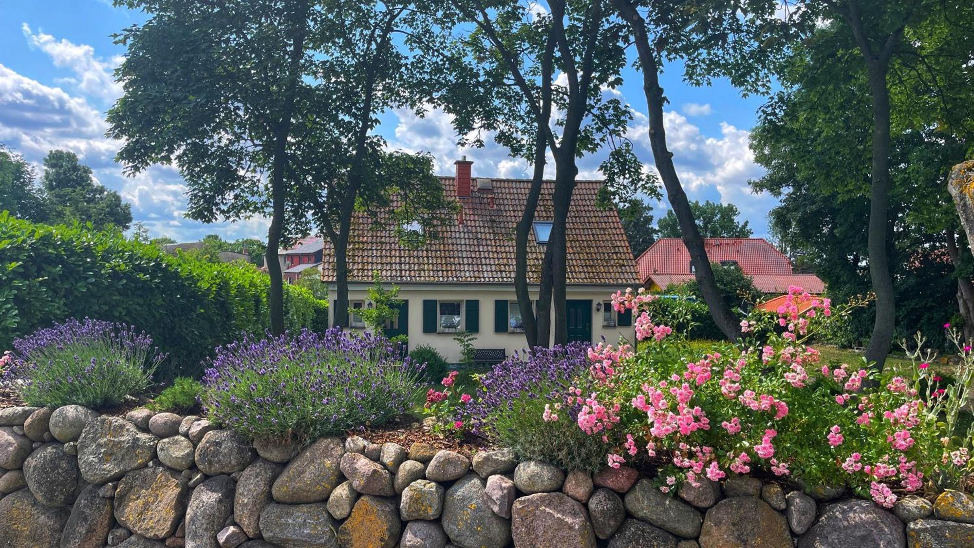 Ferienwohnung 1010 Mit Seeblick Ziemitz 외부 사진